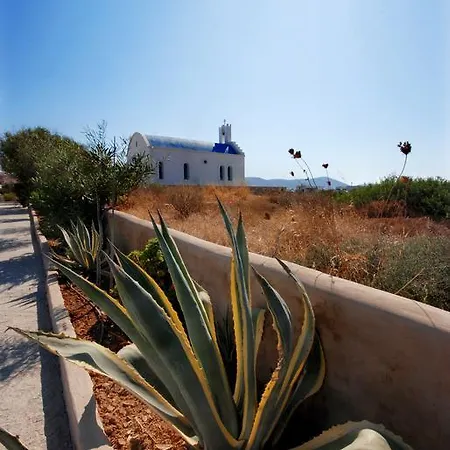 Kalypso Naousa (Paros)